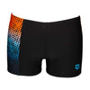 Arena Daytrip Black Swim Shorts