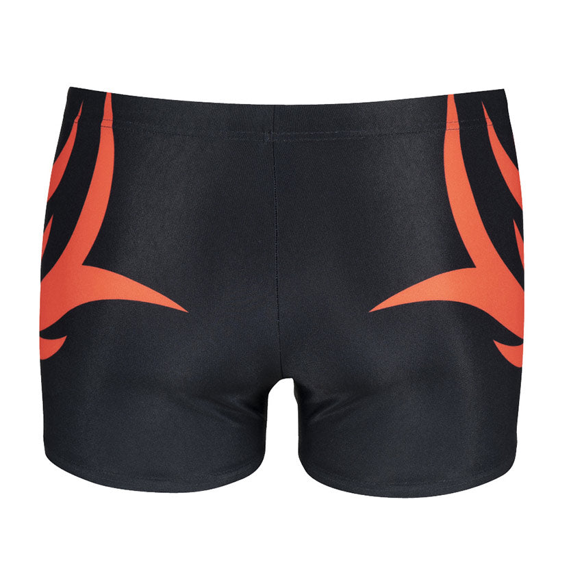 LIMITED EDITION Arena Paltrinieri Elite II Swim Shorts