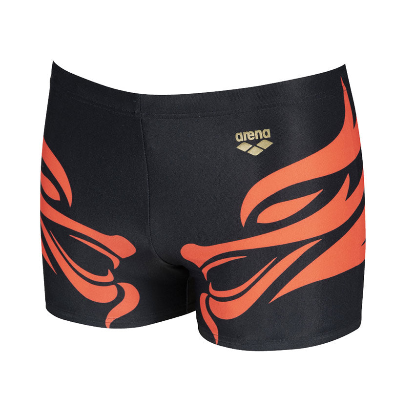 LIMITED EDITION Arena Paltrinieri Elite II Swim Shorts