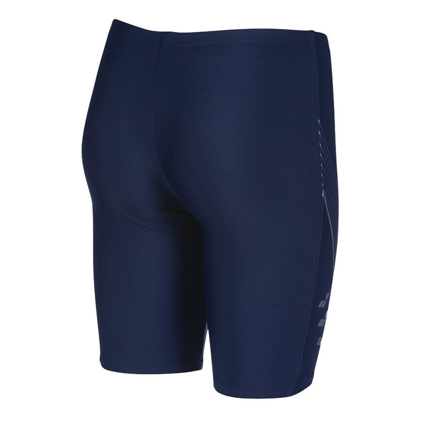 Arena Blue Chameleon Jammers
