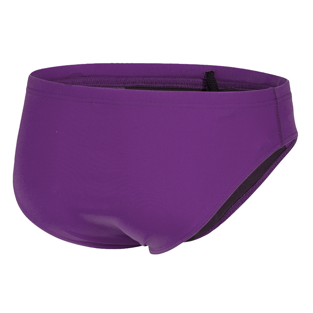 Arena Team Solid Plum Brief