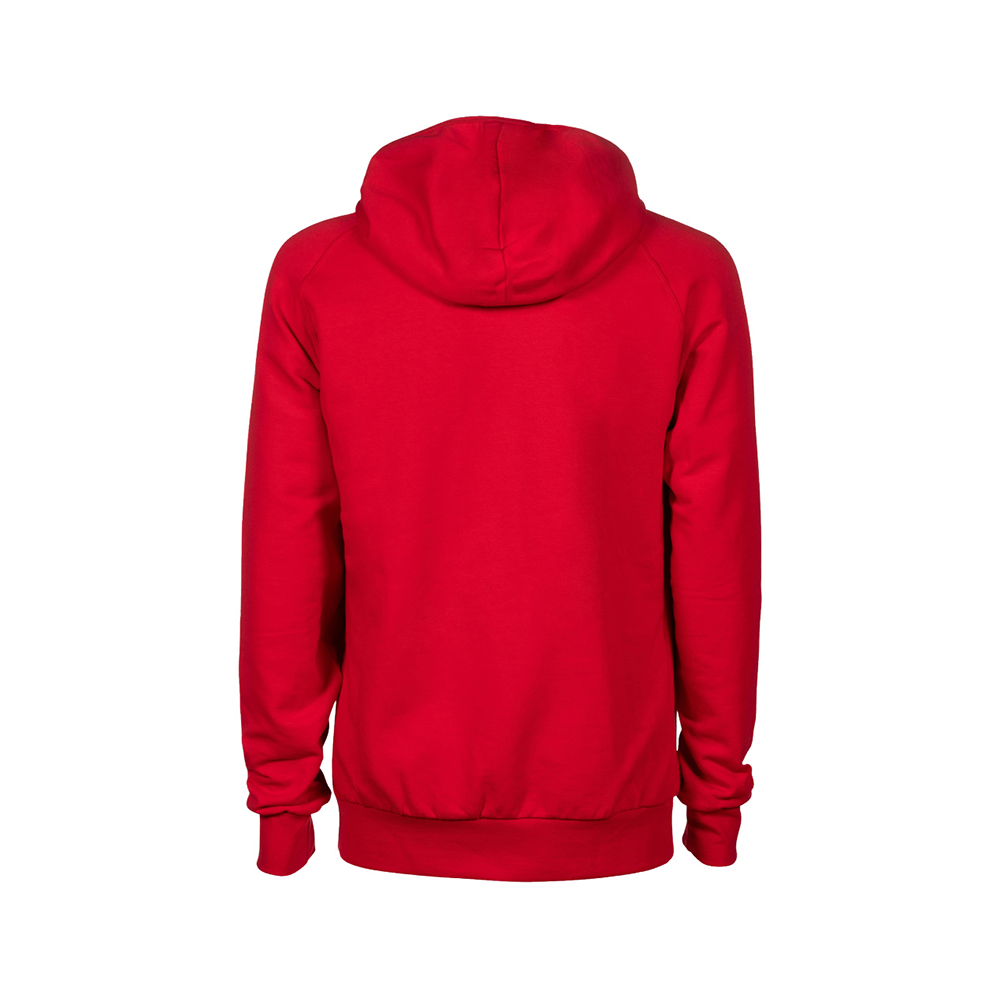 Arena Hooded Sweatshirt - Red