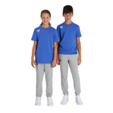 Arena Panel Junior T-Shirt - Royal