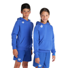Arena Junior Hooded Sweatshirt - Royal