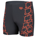 Arena Graphic Grey Mid Jammer