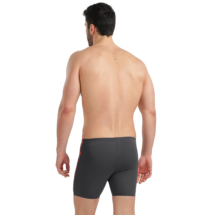 Arena Graphic Grey Mid Jammer