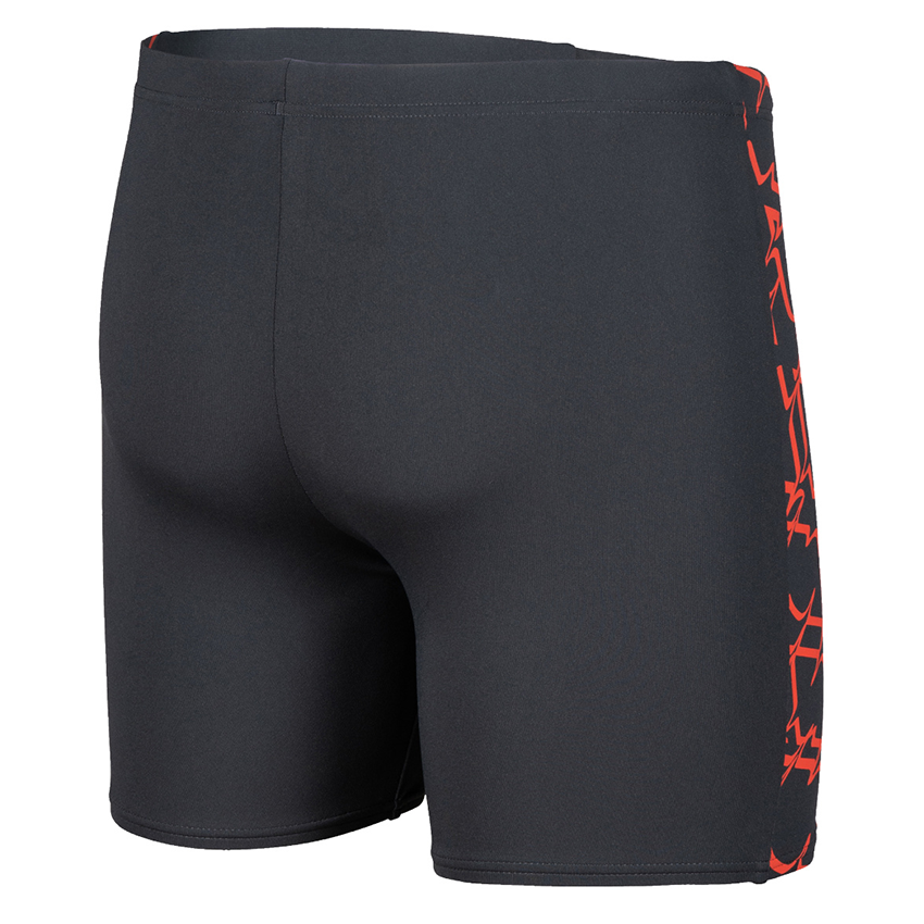 Arena Graphic Grey Mid Jammer