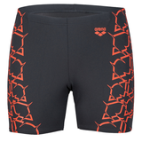 Arena Graphic Grey Mid Jammer