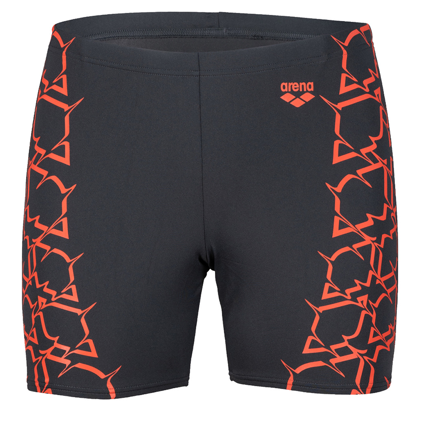 Arena Graphic Grey Mid Jammer