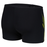 Arena Graphic Swim Short