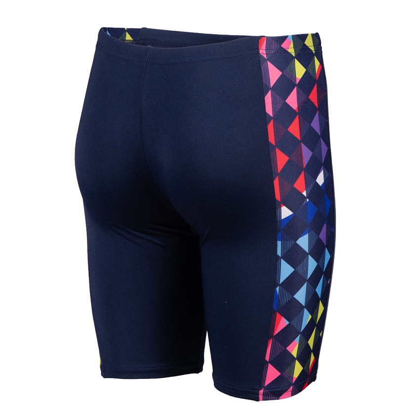 Arena Boy's Blue Carnival Jammer