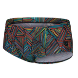 Arena Overview Multicoloured Low Waist Shorts