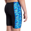Arena Boy's Pooltiles Jammer