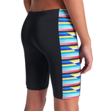 Boy's Arena Racing Stripe Black Jammer