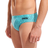 Arena Water Maze Brief
