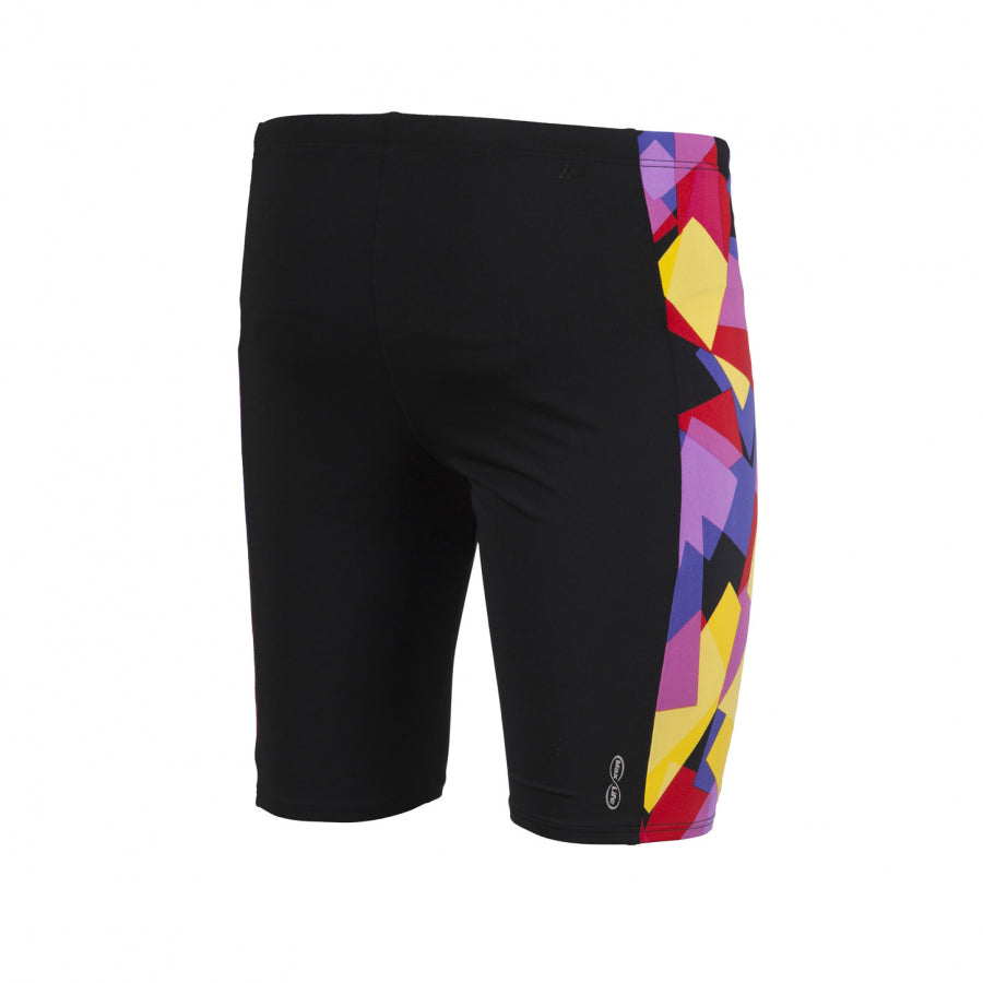 Arena Men's Glassy Jammer- Black