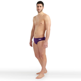 Arena Team Solid Plum Brief