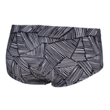Arena Overview Low Waist Shorts