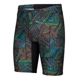 Arena Overview Multicoloured Jammer