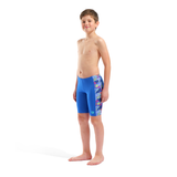Boy's Arena Candies Jammer