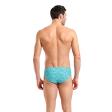 Arena Water Maze Brief