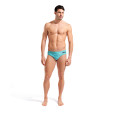 Arena Water Maze Brief