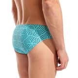 Arena Water Maze Brief