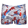 Arena Boys Spiderman Shorts